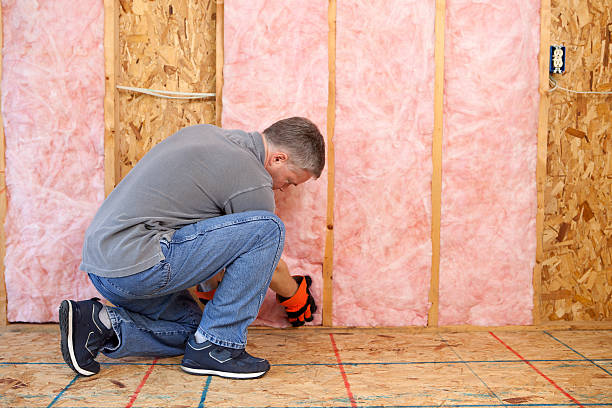 Best Energy-efficient Insulation  in Varnville, SC