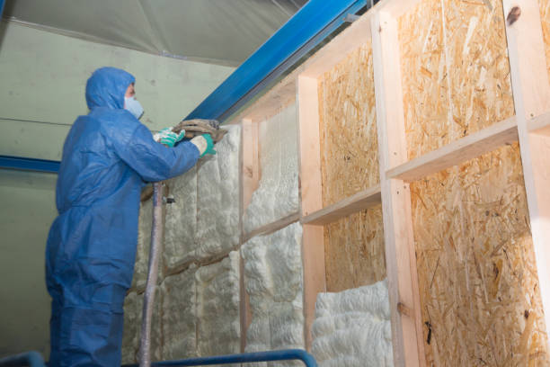 Best Garage Insulation Installation  in Varnville, SC