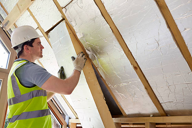 Best Fiberglass Insulation  in Varnville, SC