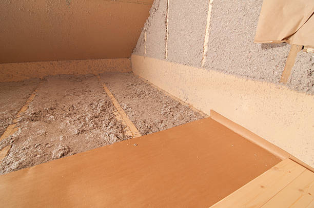 Best Insulation Contractor Near Me  in Varnville, SC