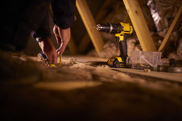 Best Insulation Removal Services  in Varnville, SC